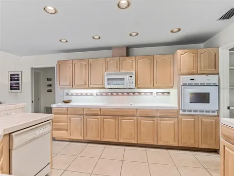 5321 Greens Drive Lady Lake FL 32159