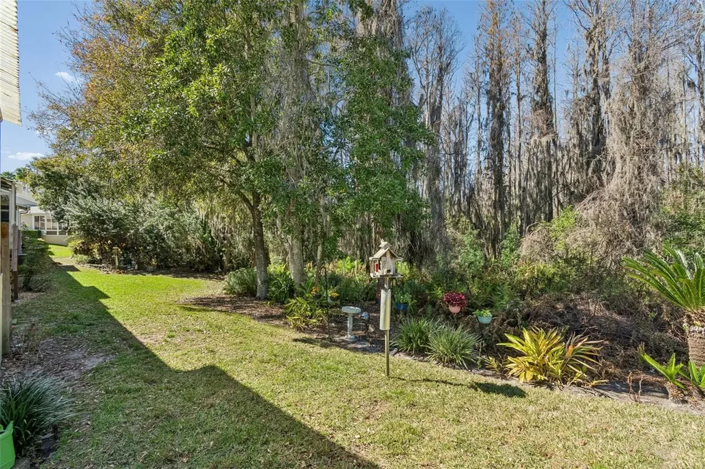 1745 Heron Cove Drive Lutz FL 33549