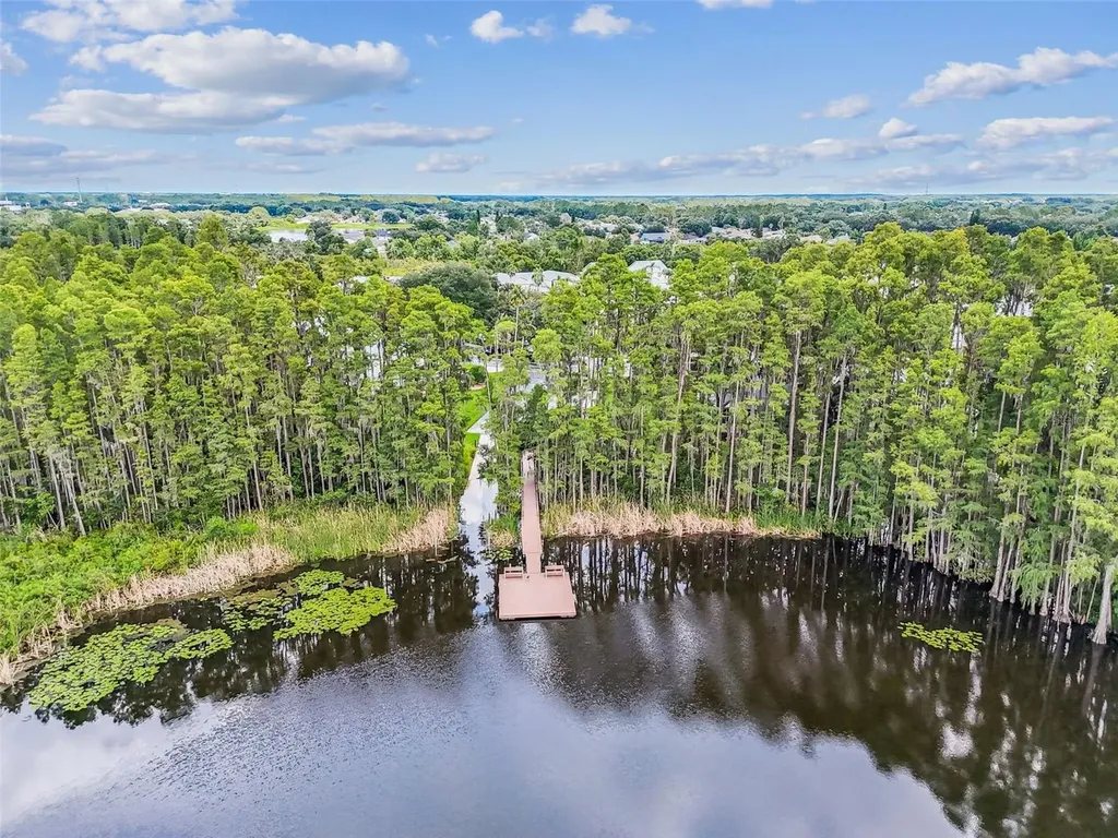 1745 Heron Cove Drive Lutz FL 33549