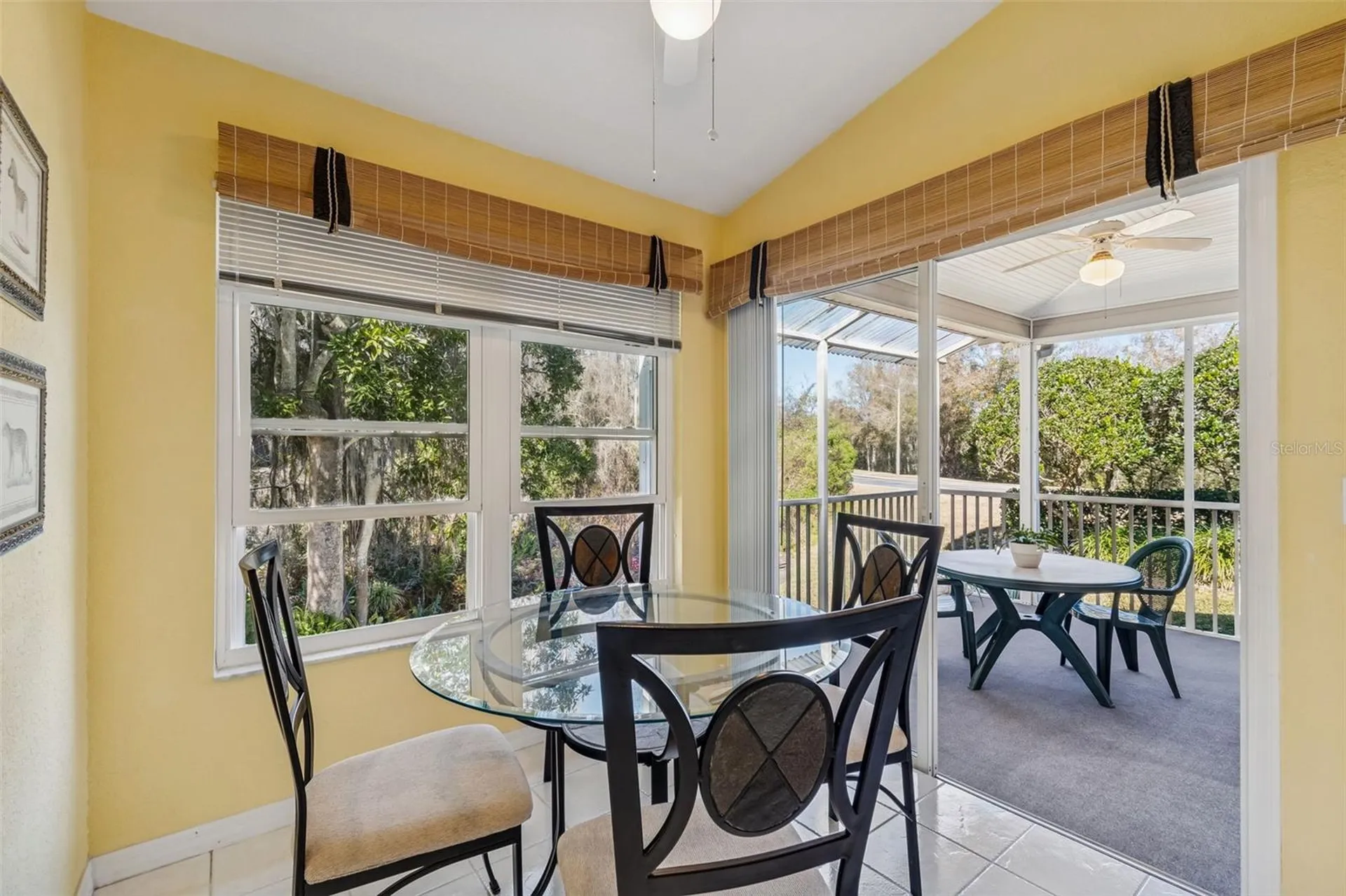 1745 Heron Cove Drive Lutz FL 33549
