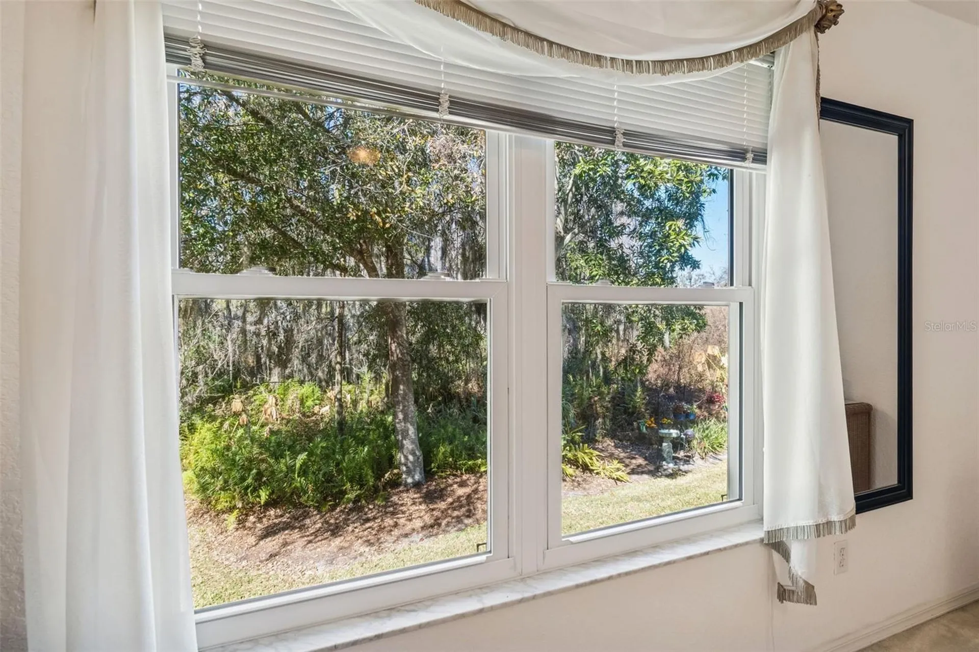 1745 Heron Cove Drive Lutz FL 33549