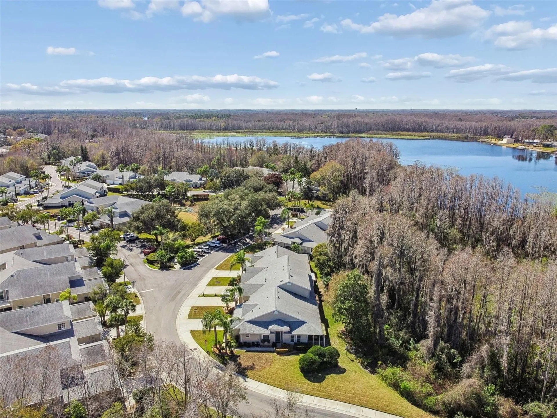 1745 Heron Cove Drive Lutz FL 33549