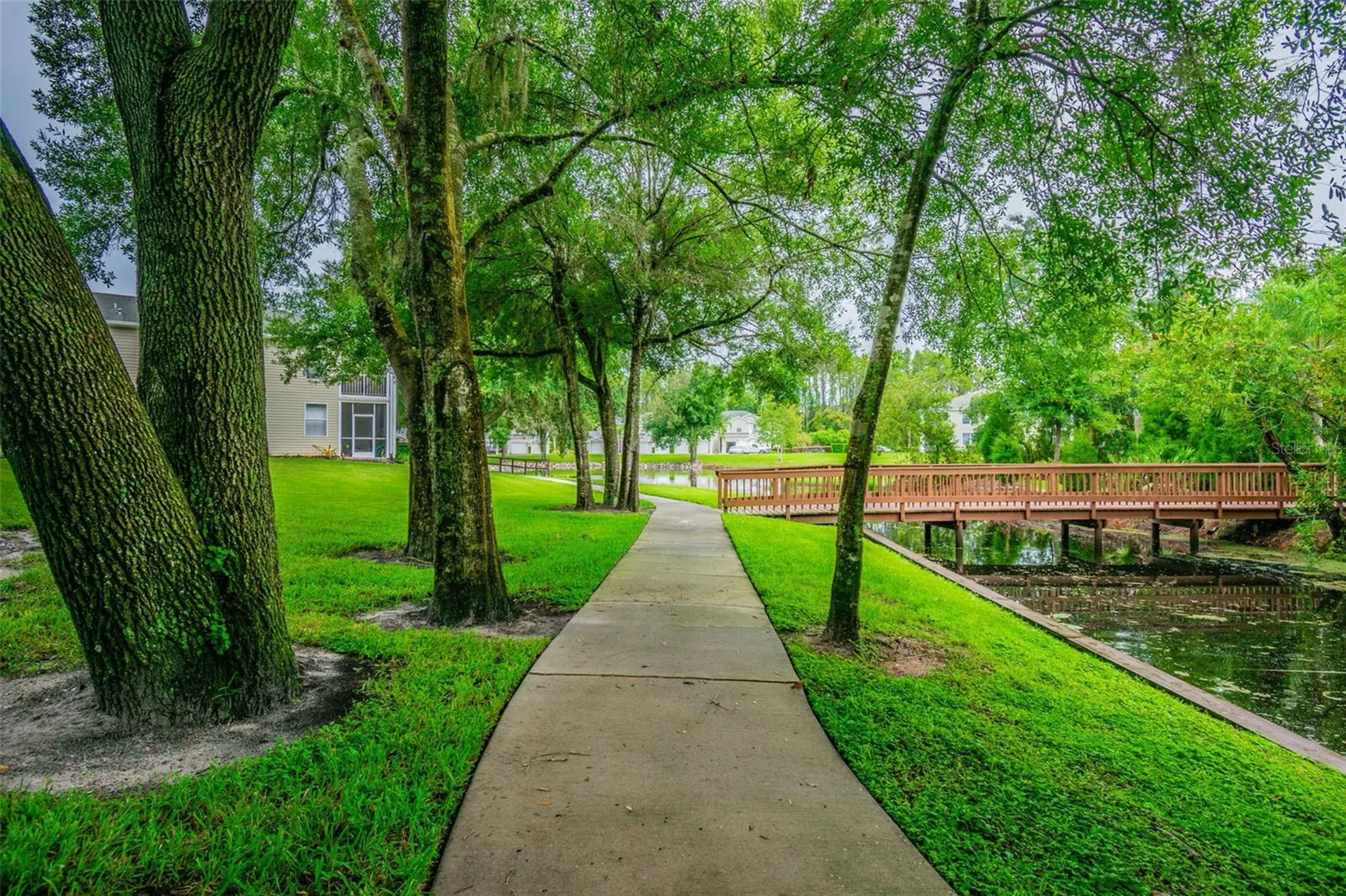 1745 Heron Cove Drive Lutz FL 33549