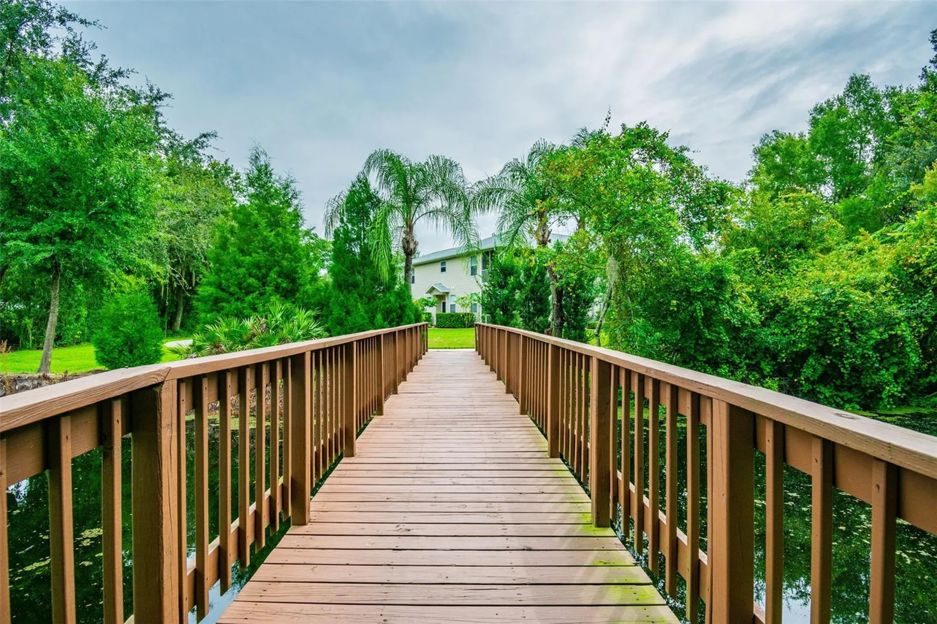 1745 Heron Cove Drive Lutz FL 33549