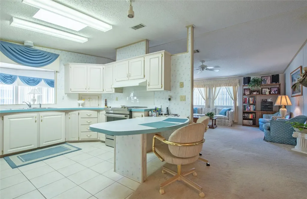 428 Pelican Drive S Oldsmar FL 34677