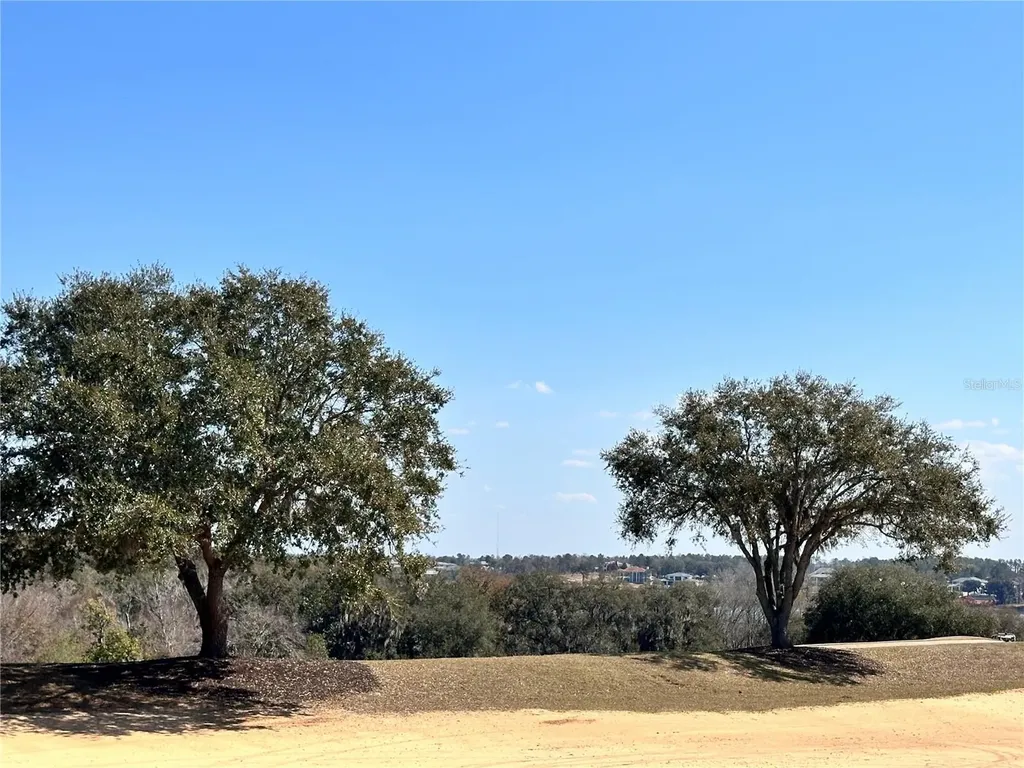 16822 Artimino Loop Bella Collina FL 34756