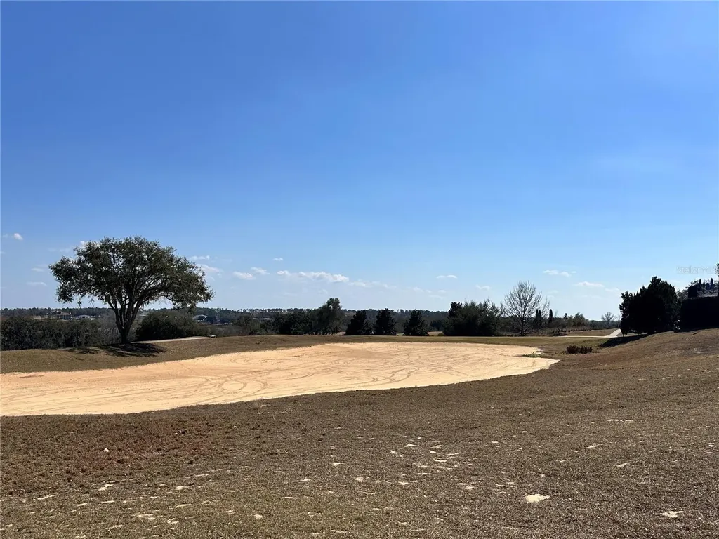 16822 Artimino Loop Bella Collina FL 34756