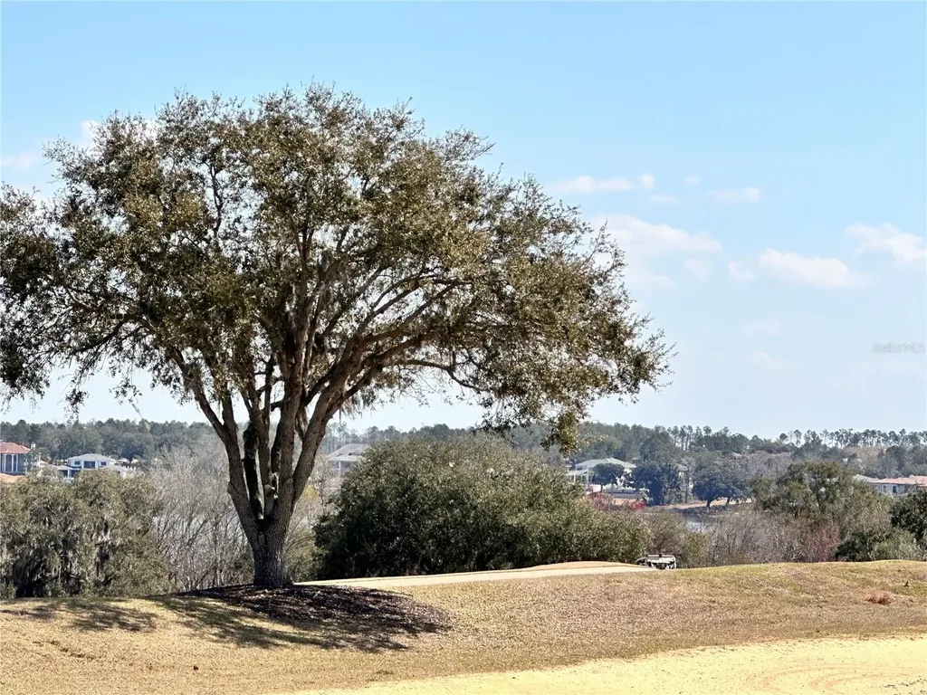 16822 Artimino Loop Bella Collina FL 34756