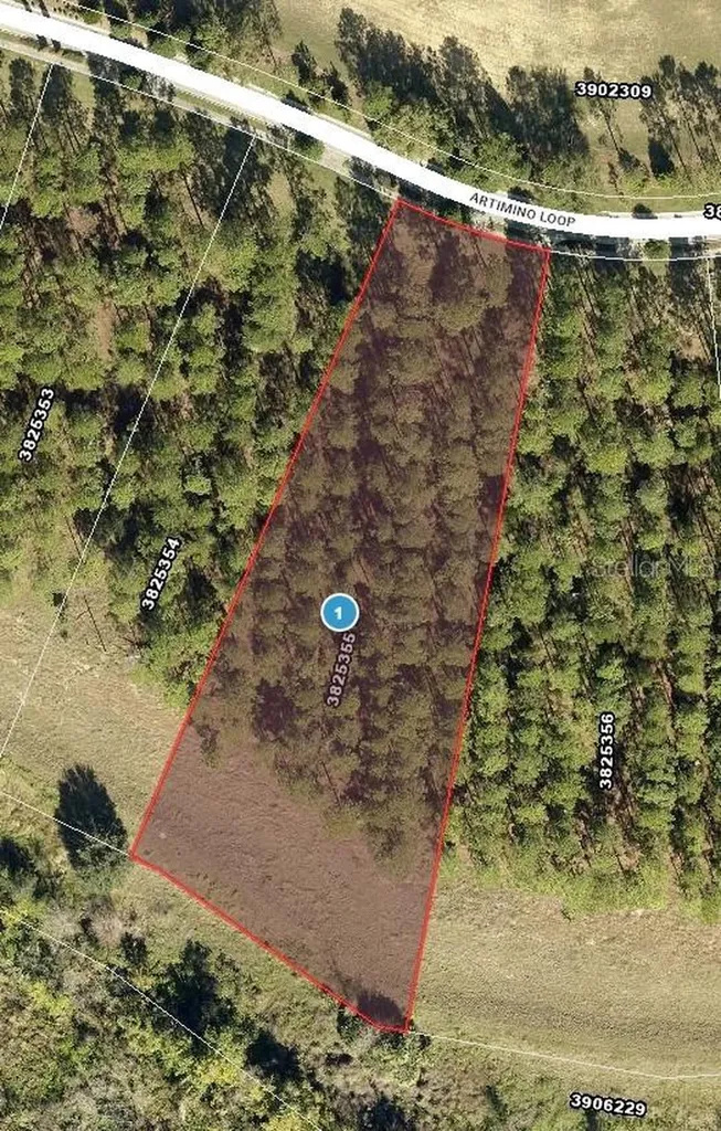 16822 Artimino Loop Bella Collina FL 34756