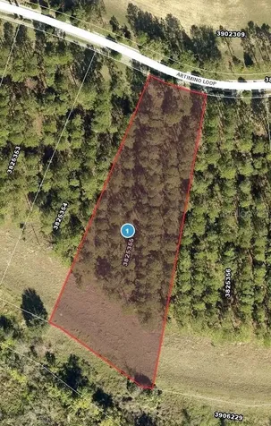 16822 Artimino Loop Bella Collina FL 34756