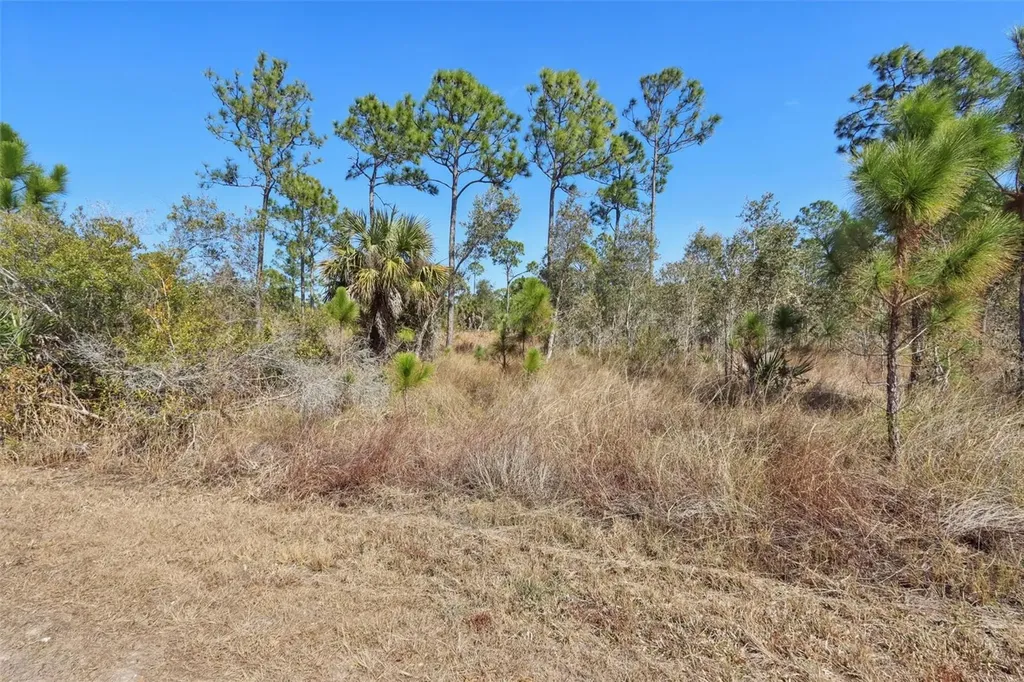 13588 Carousel Drive Punta Gorda FL 33955