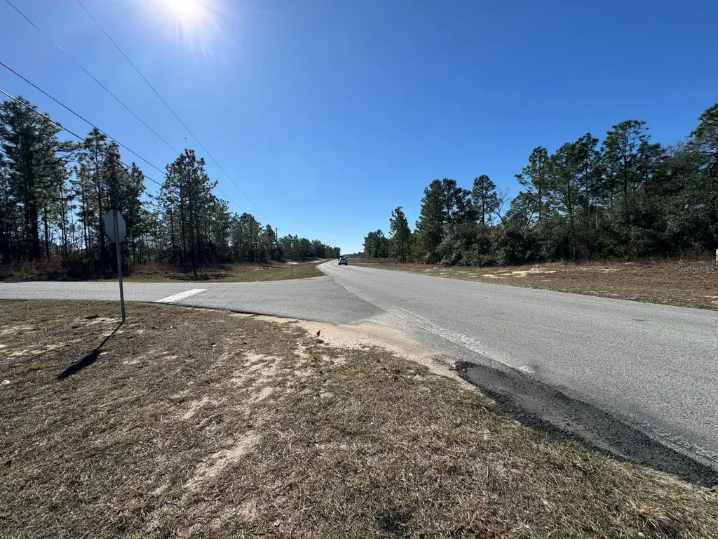 2595 W Chamberlain Street Citrus Springs FL 34434