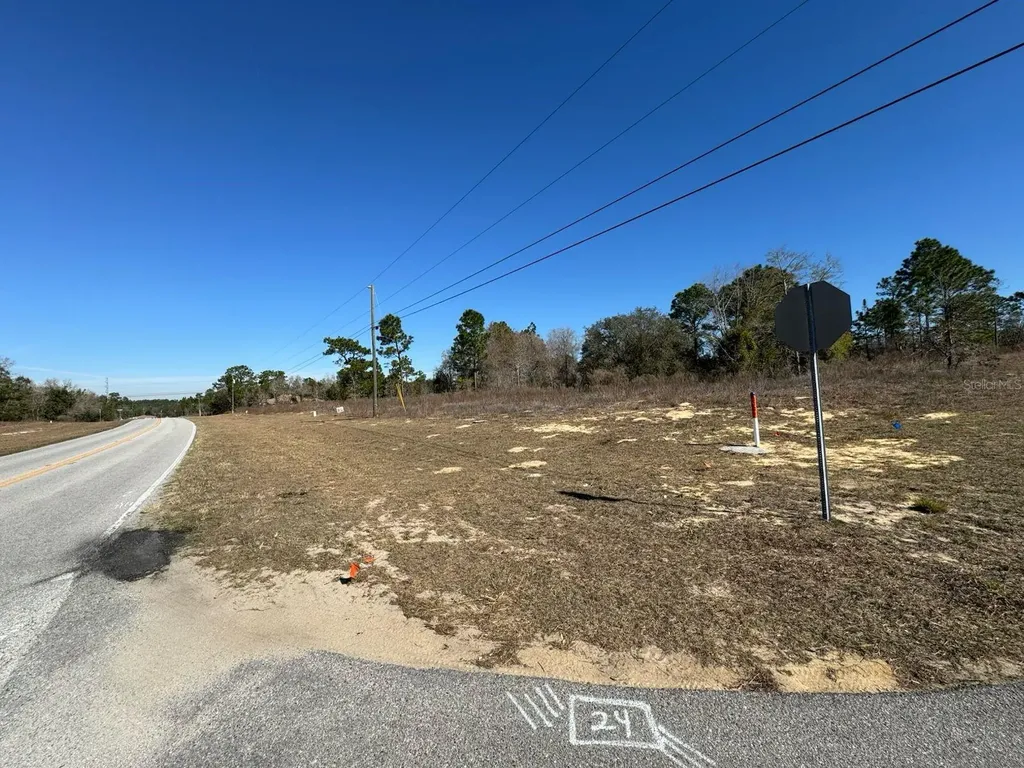 2595 W Chamberlain Street Citrus Springs FL 34434