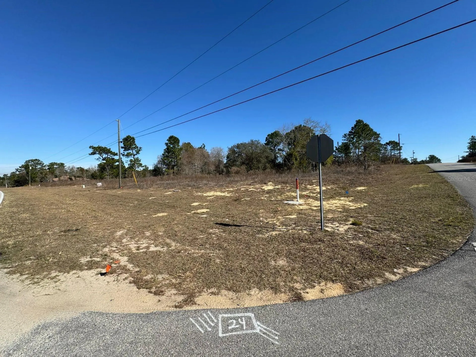 2595 W Chamberlain Street Citrus Springs FL 34434