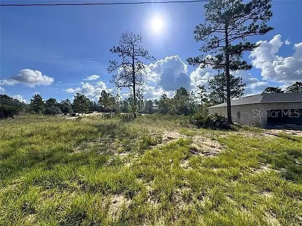 6597 N Grayton Terrace Dunnellon FL 34433