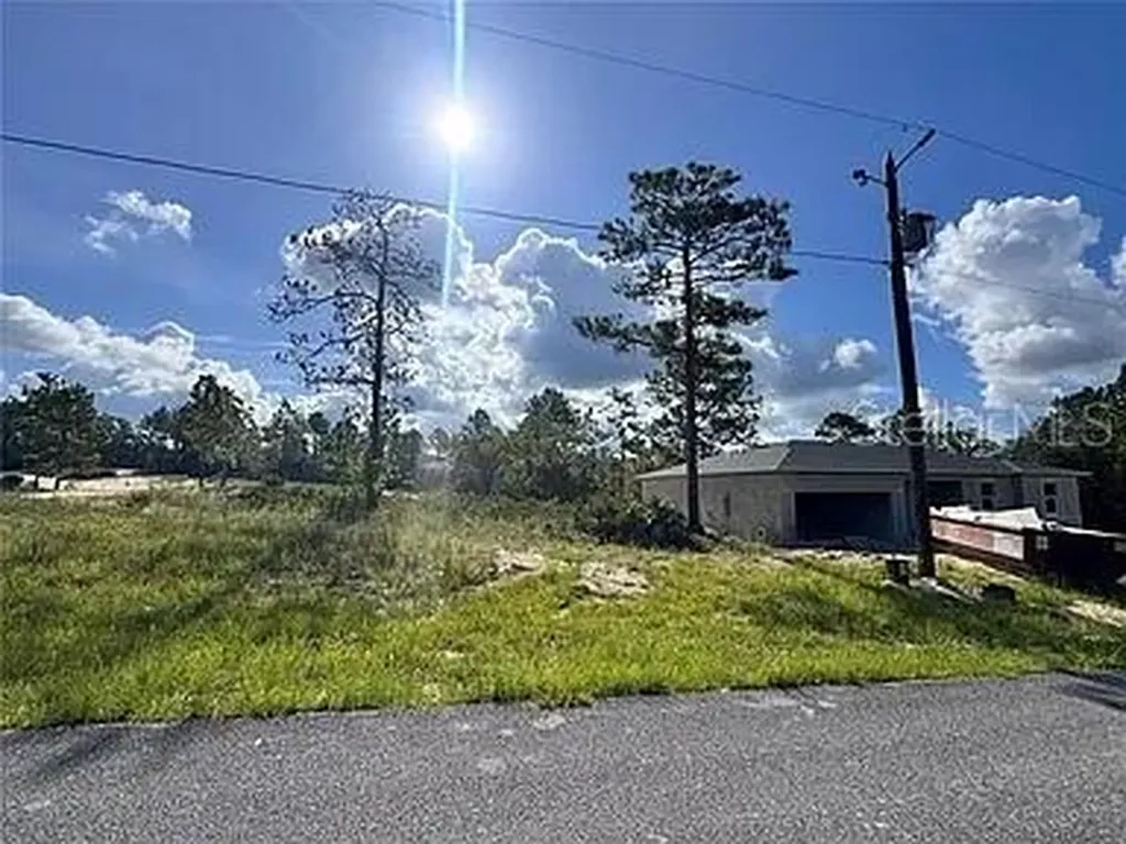 6597 N Grayton Terrace Dunnellon FL 34433