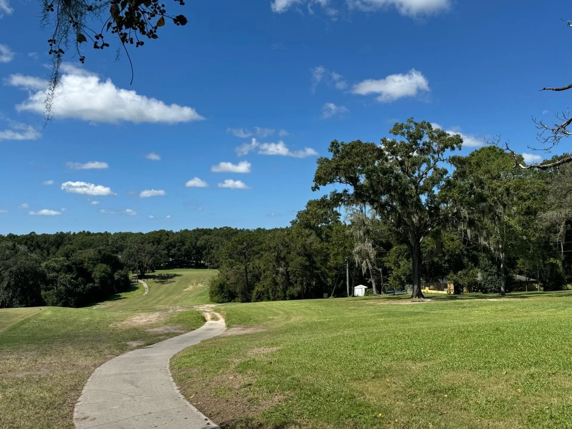 6597 N Grayton Terrace Dunnellon FL 34433