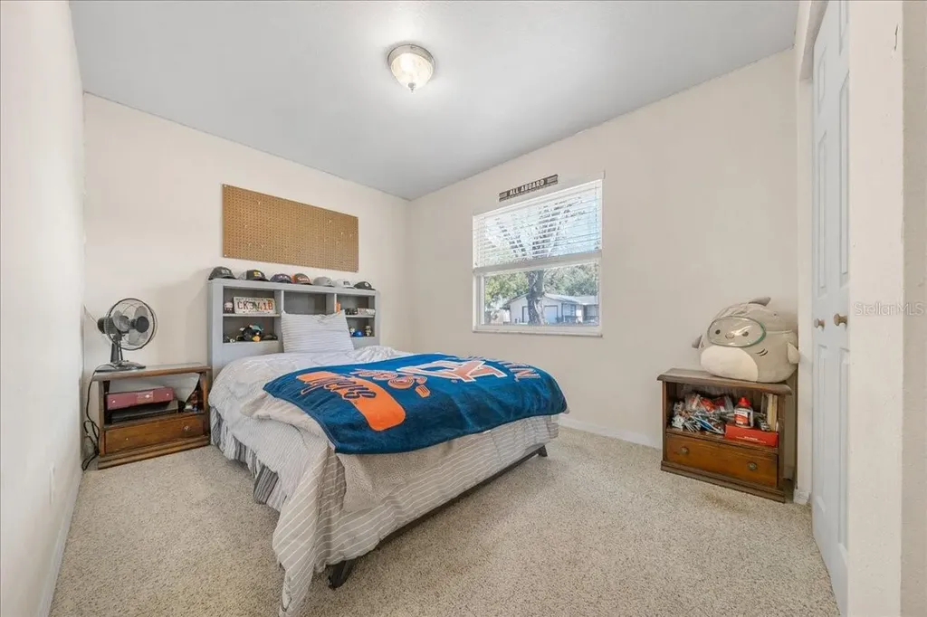 3620 NE 29th Terrace Ocala FL 34479