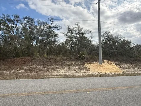 12373 Redrose Avenue Weeki Wachee FL 34614
