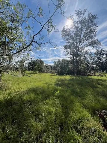 16604 NW State Road 45 High Springs FL 32643