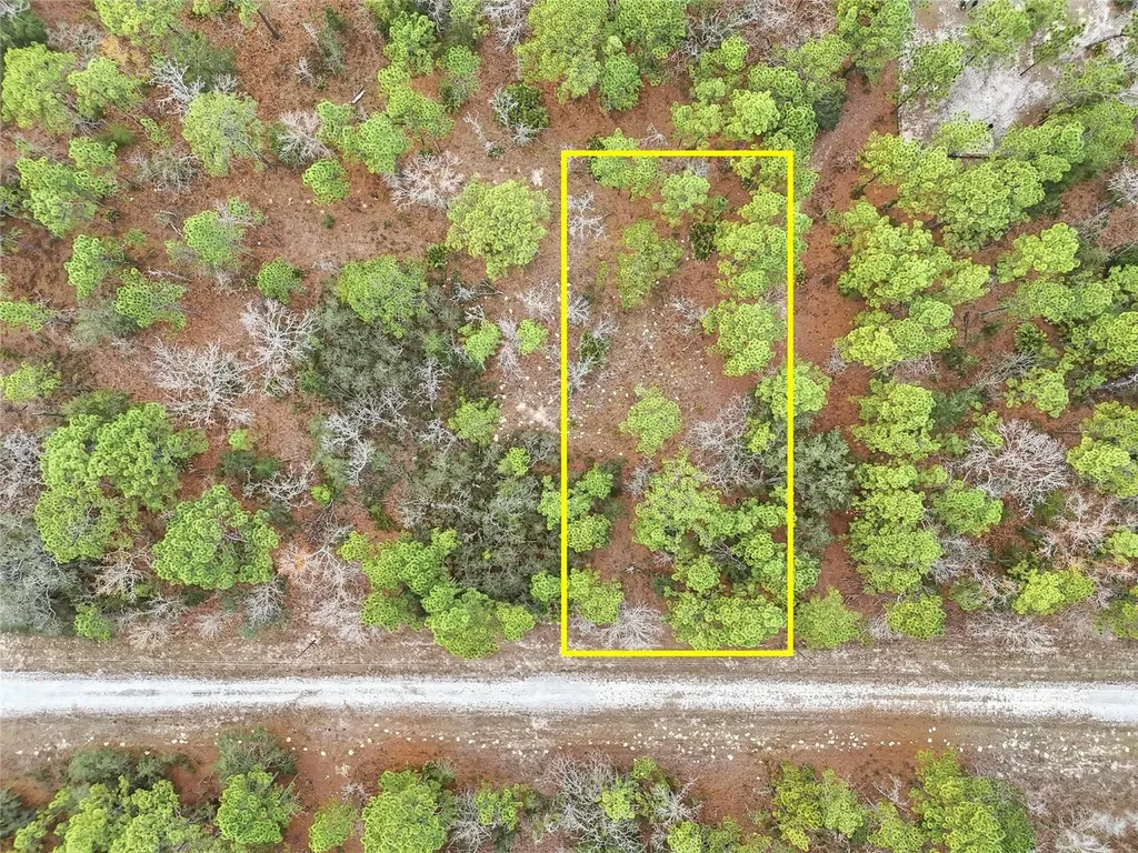 Cayman Road Weeki Wachee FL 34614