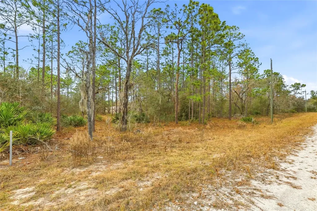Cayman Road Weeki Wachee FL 34614