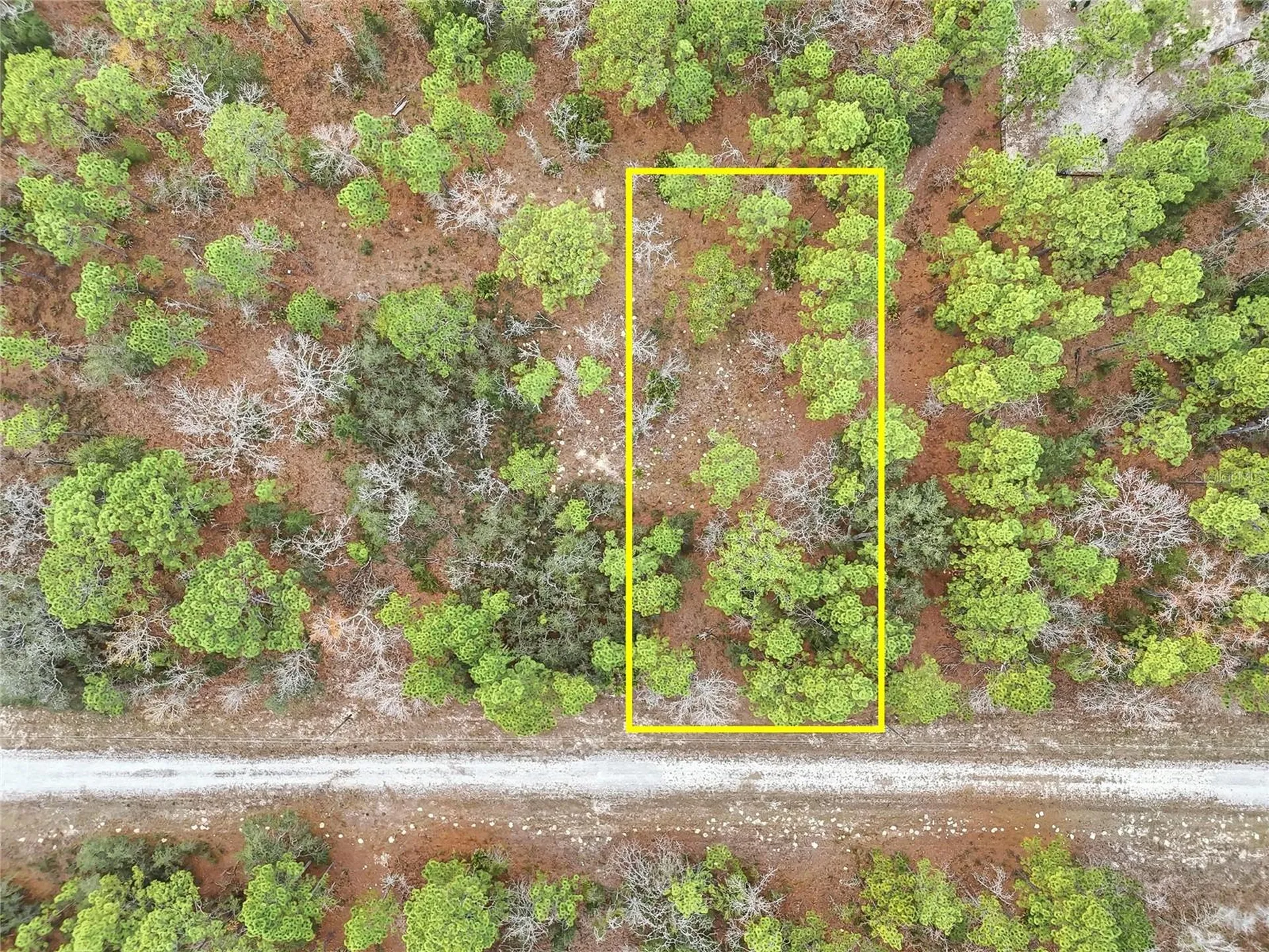 Cayman Road Weeki Wachee FL 34614