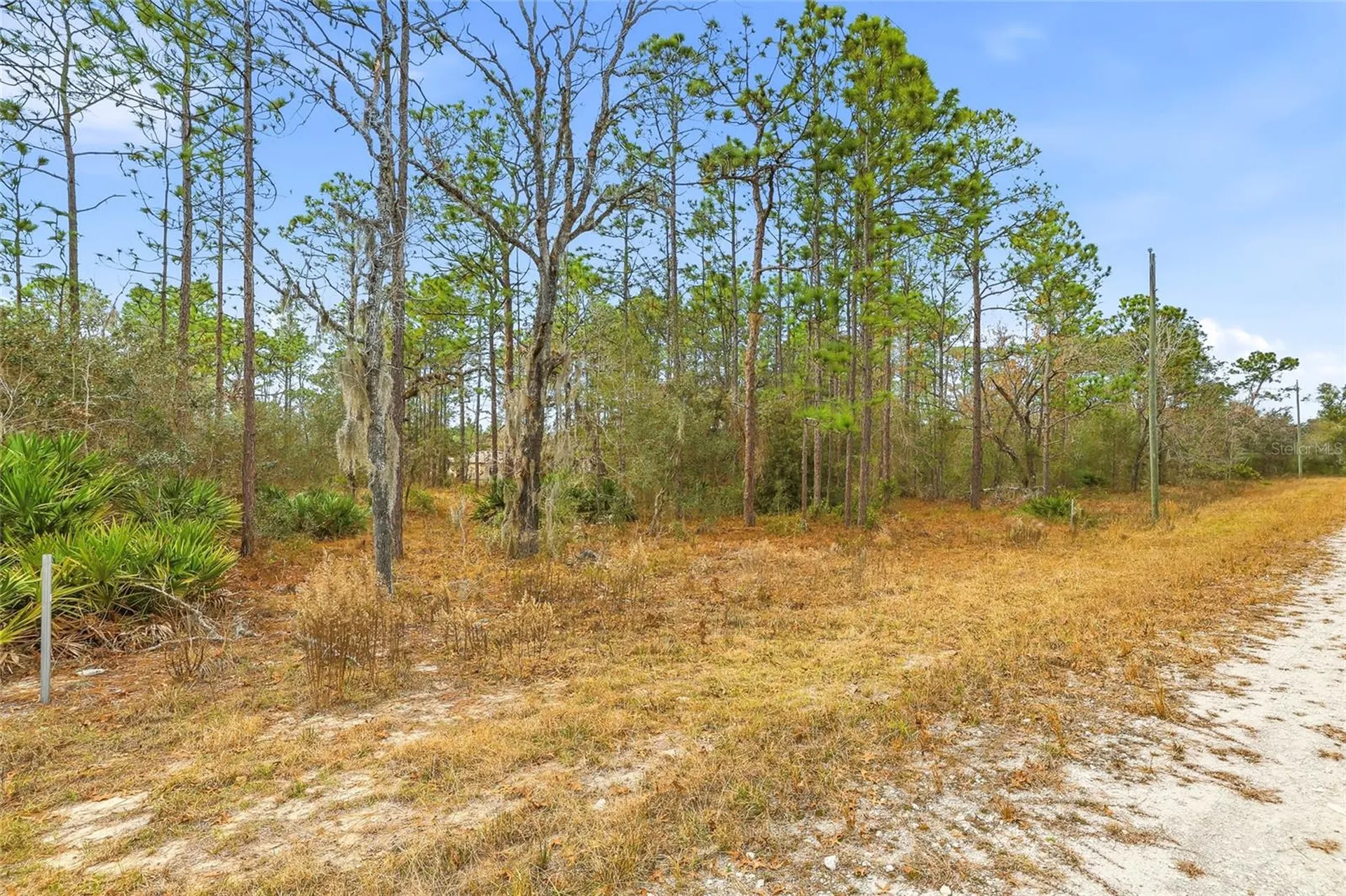Cayman Road Weeki Wachee FL 34614