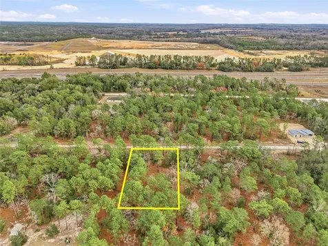 Cayman Road Weeki Wachee FL 34614