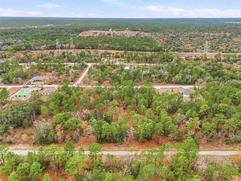 Cayman Road Weeki Wachee FL 34614