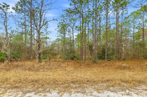 Cayman Road Weeki Wachee FL 34614