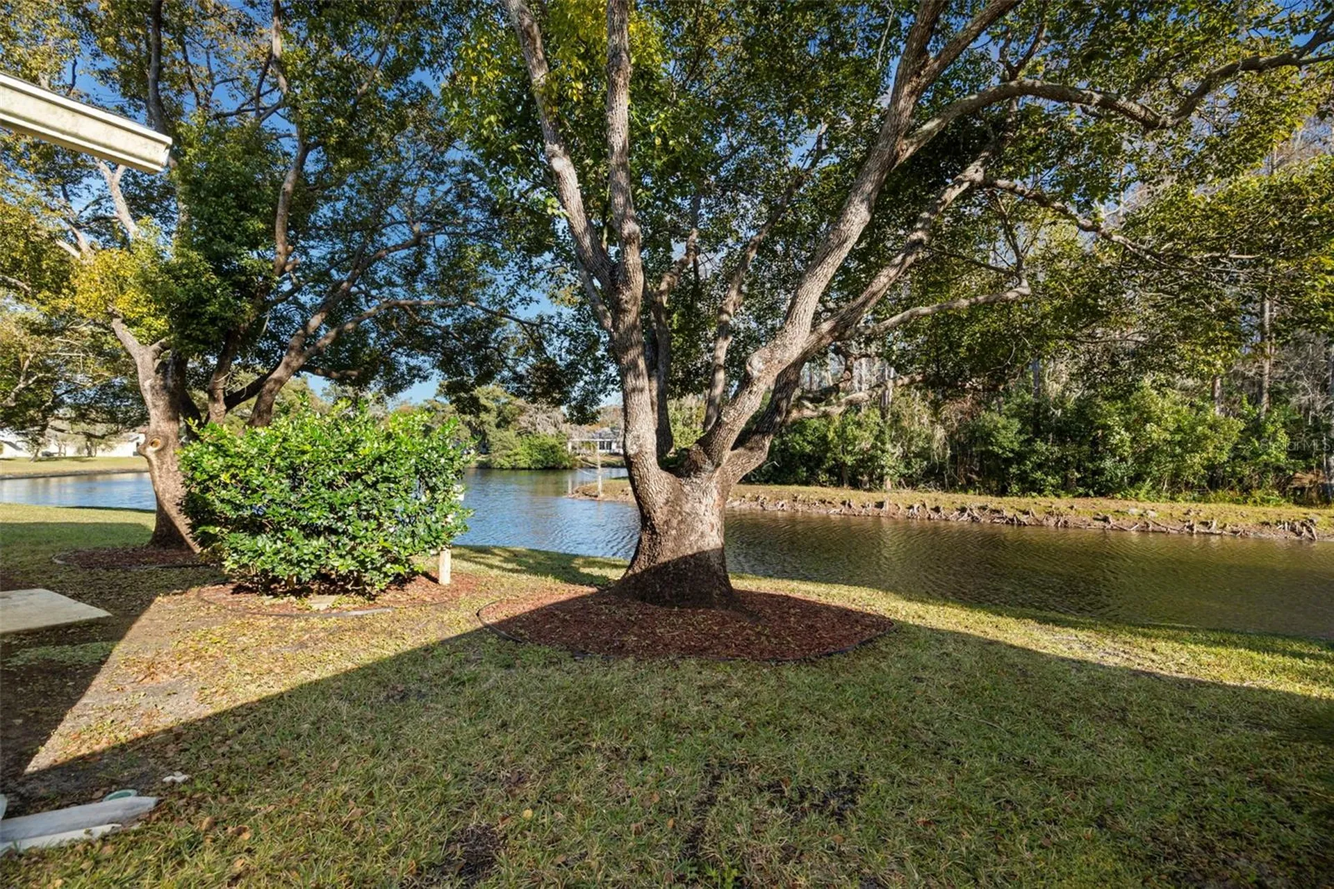 4730 Sheffield Drive New Port Richey FL 34655
