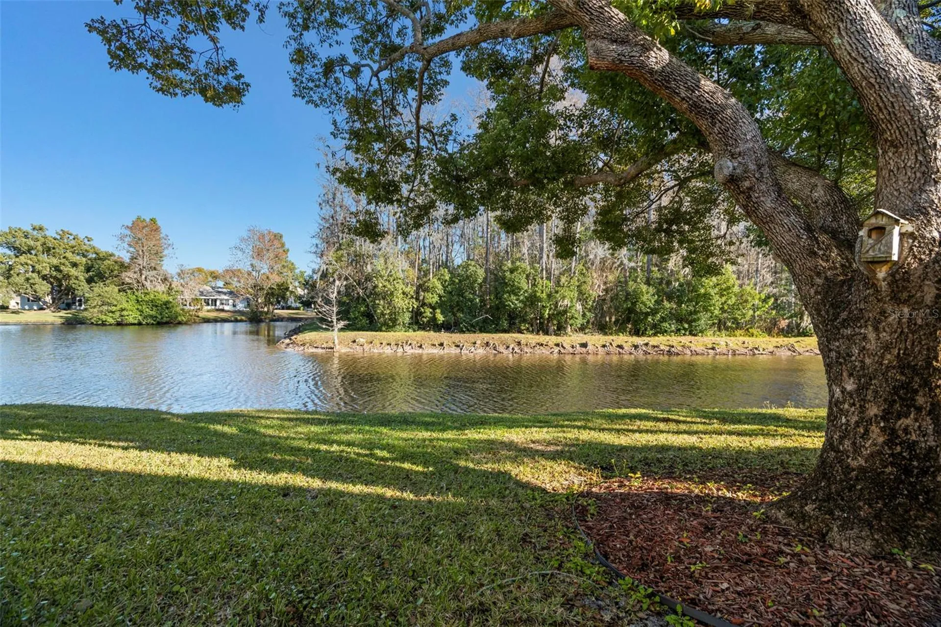 4730 Sheffield Drive New Port Richey FL 34655