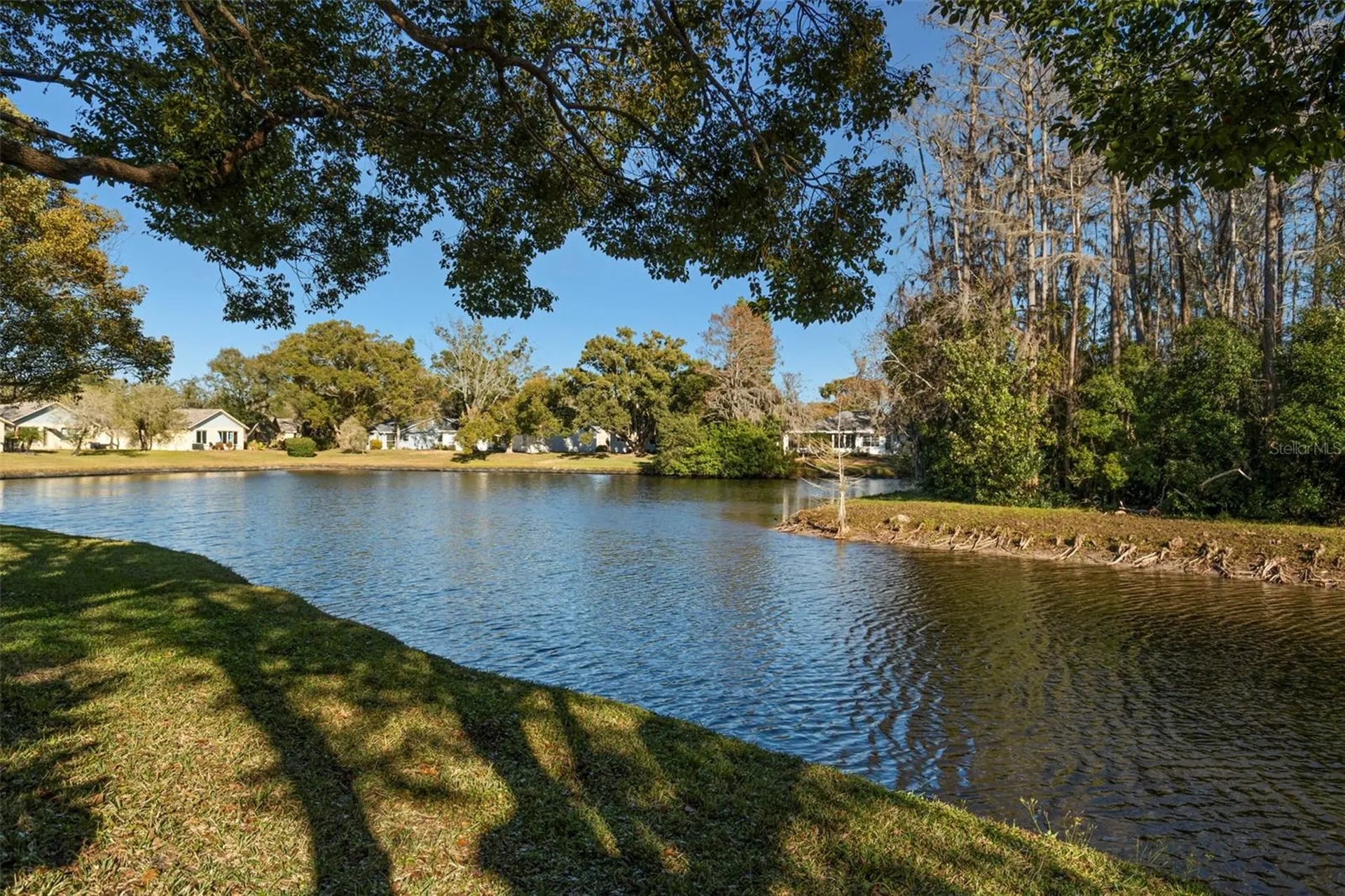 4730 Sheffield Drive New Port Richey FL 34655