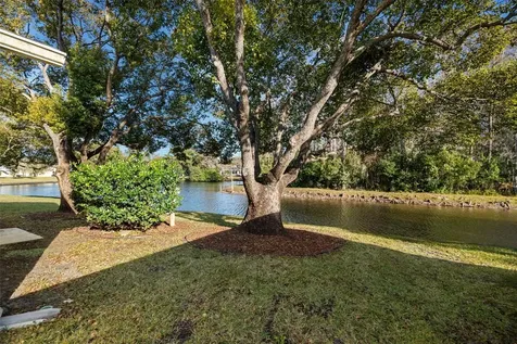 4730 Sheffield Drive New Port Richey FL 34655