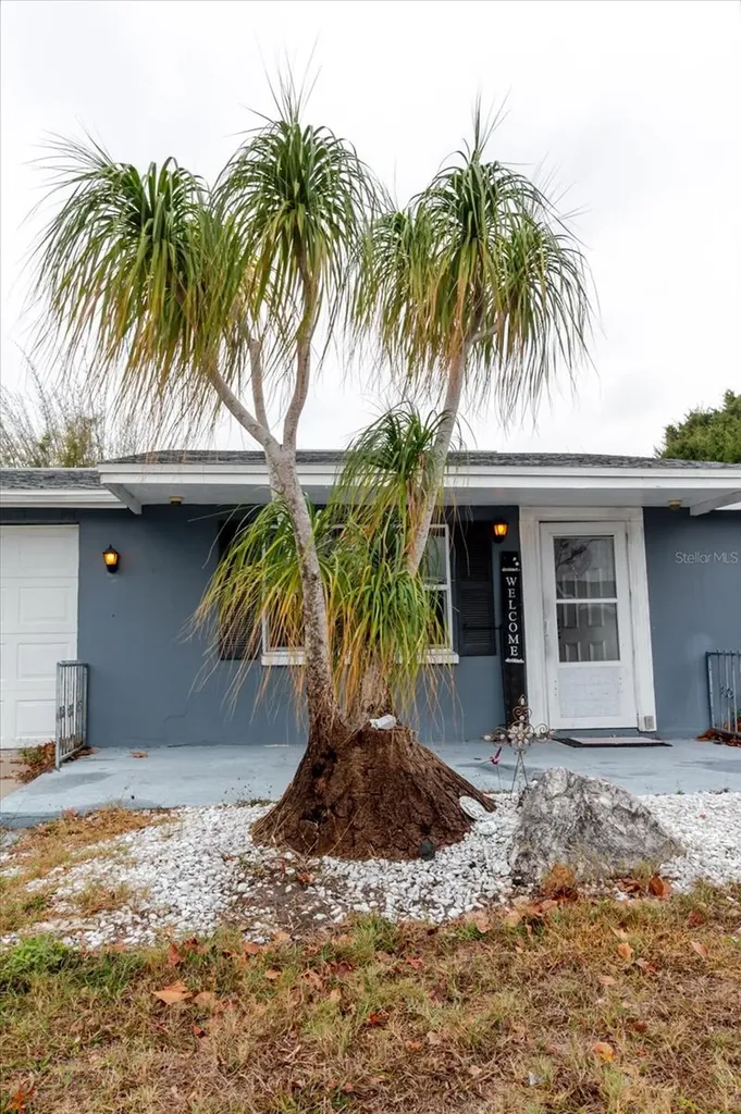 9731 Rainbow Lane Port Richey FL 34668