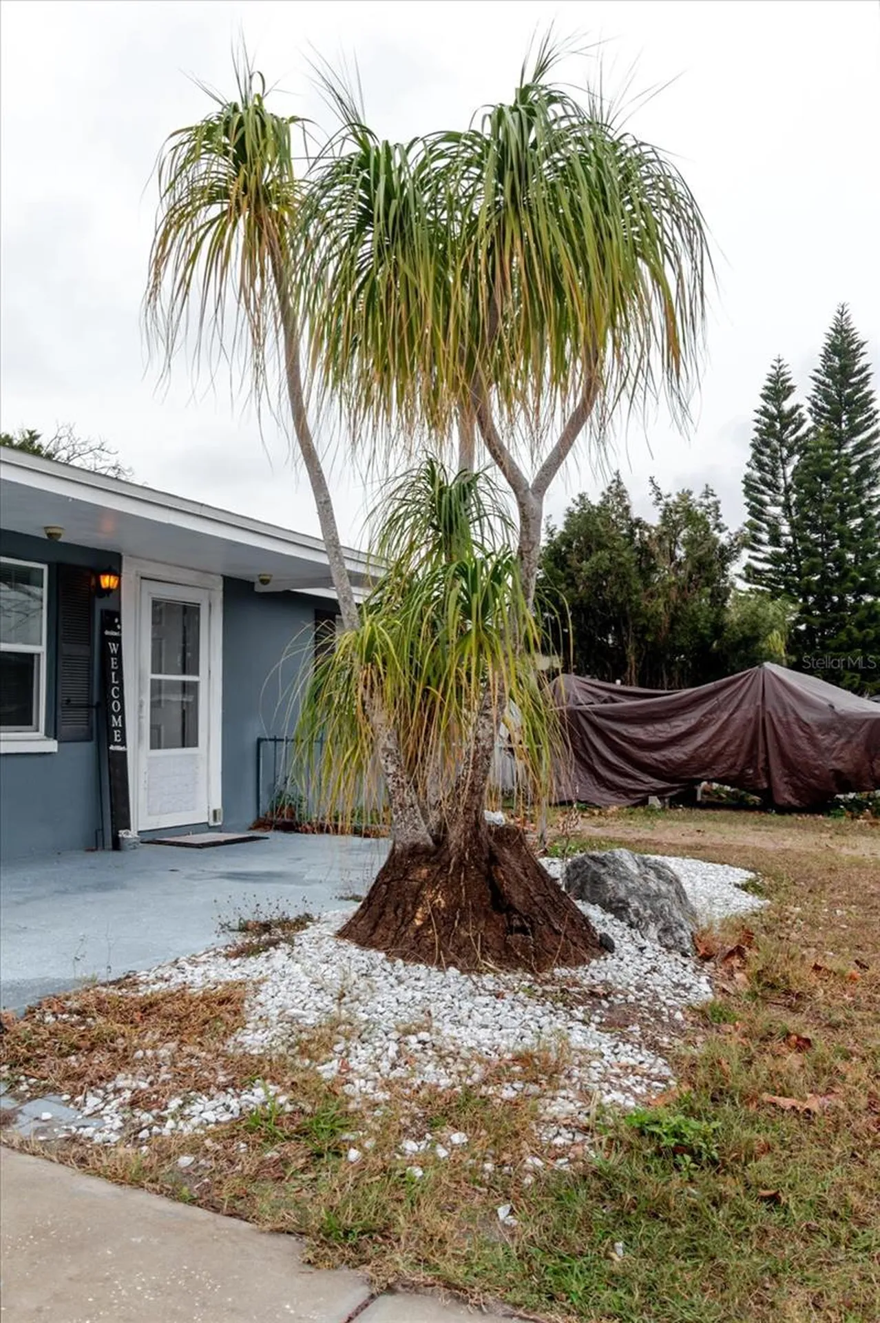 9731 Rainbow Lane Port Richey FL 34668