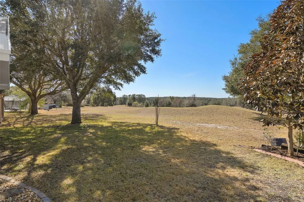 30213 Pga Drive Sorrento FL 32776