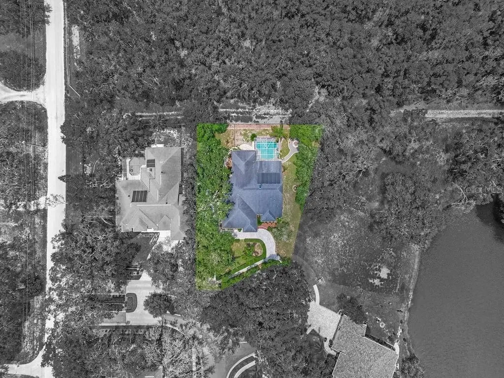 8711 Crescent Forest Boulevard New Port Richey FL 34654