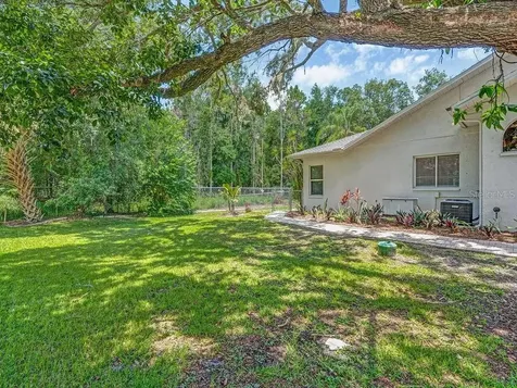 8711 Crescent Forest Boulevard New Port Richey FL 34654