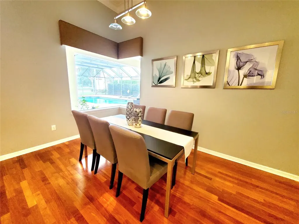 10004 Tree Tops Lake Road Tampa FL 33626