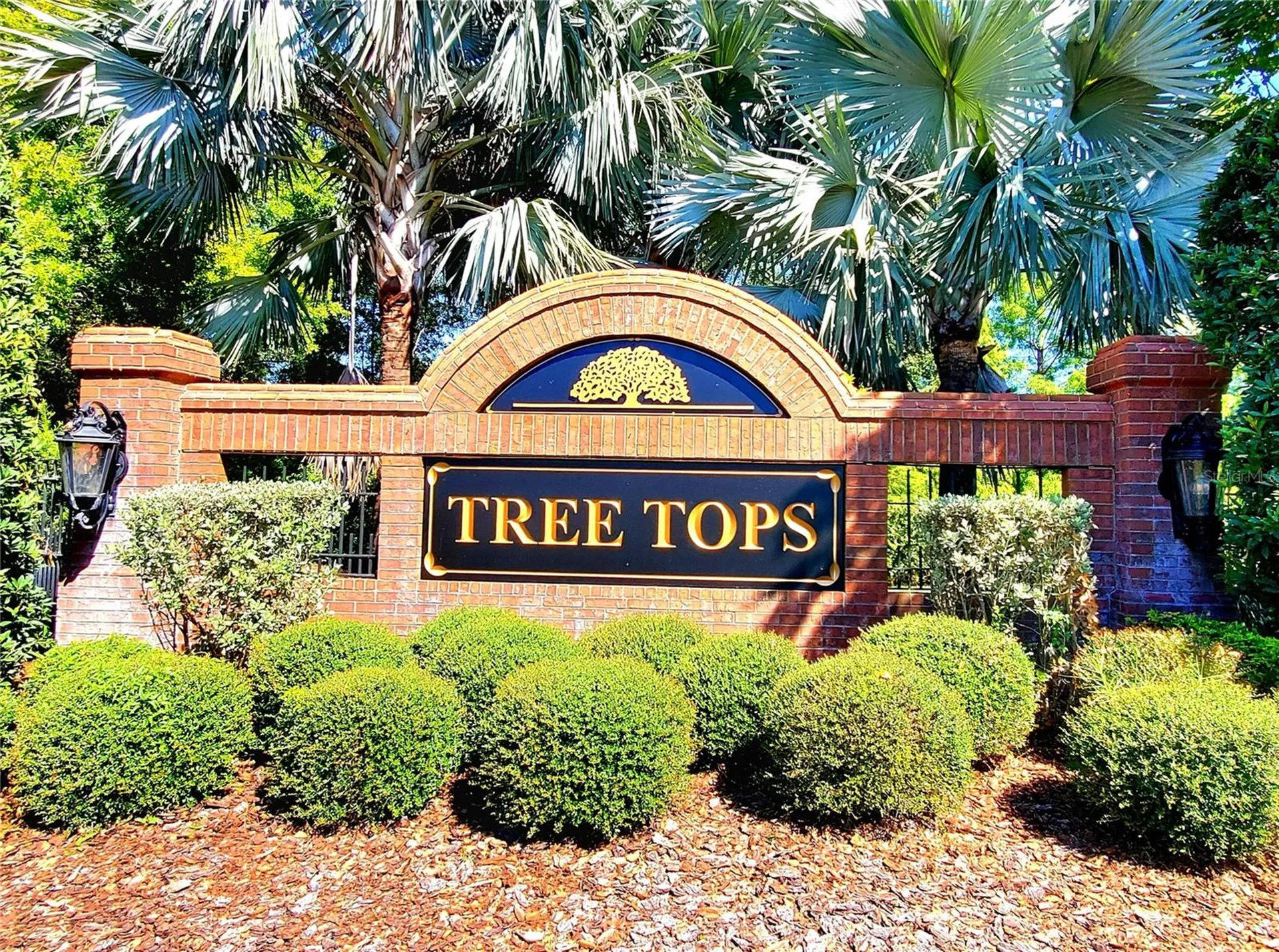10004 Tree Tops Lake Road Tampa FL 33626