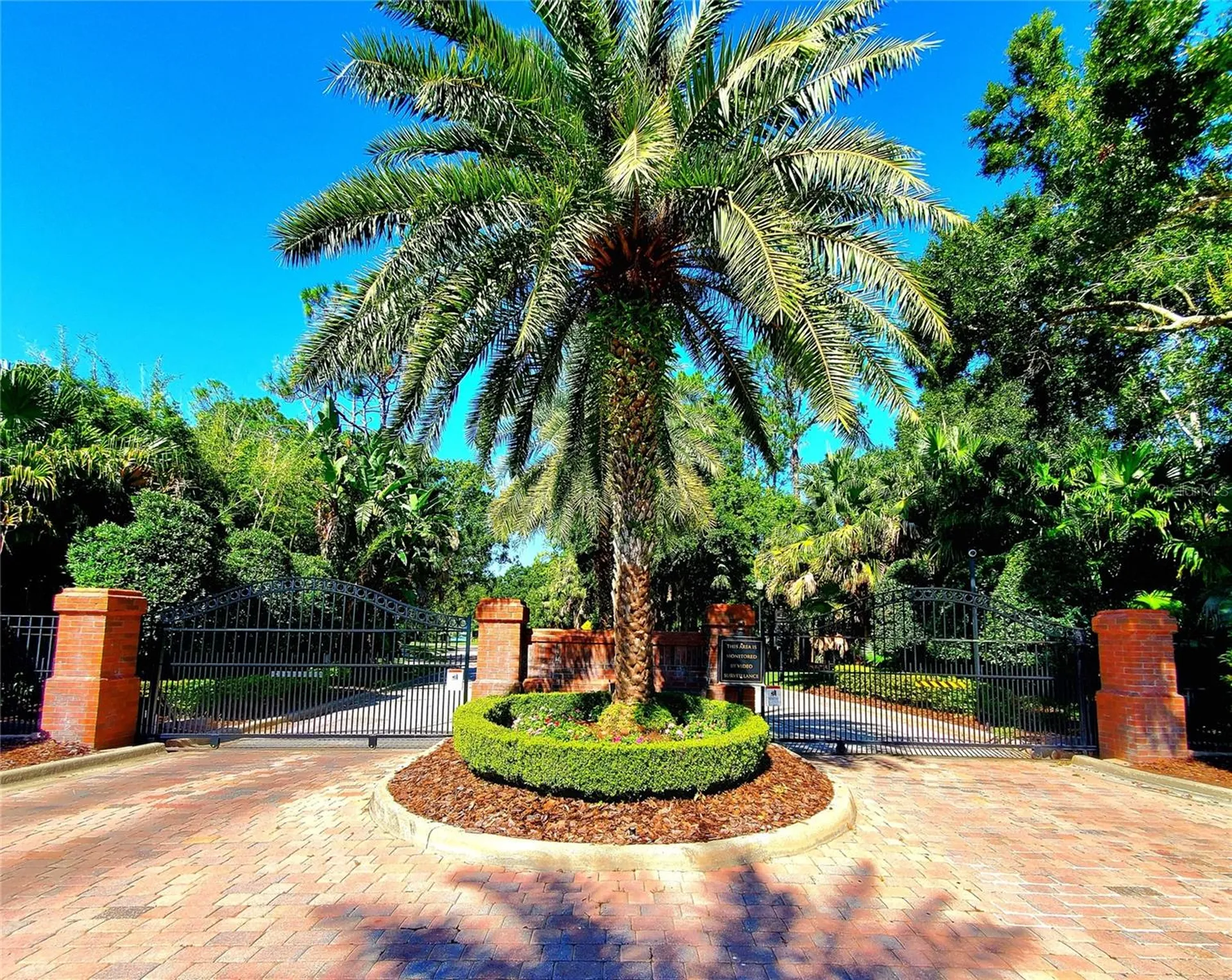 10004 Tree Tops Lake Road Tampa FL 33626