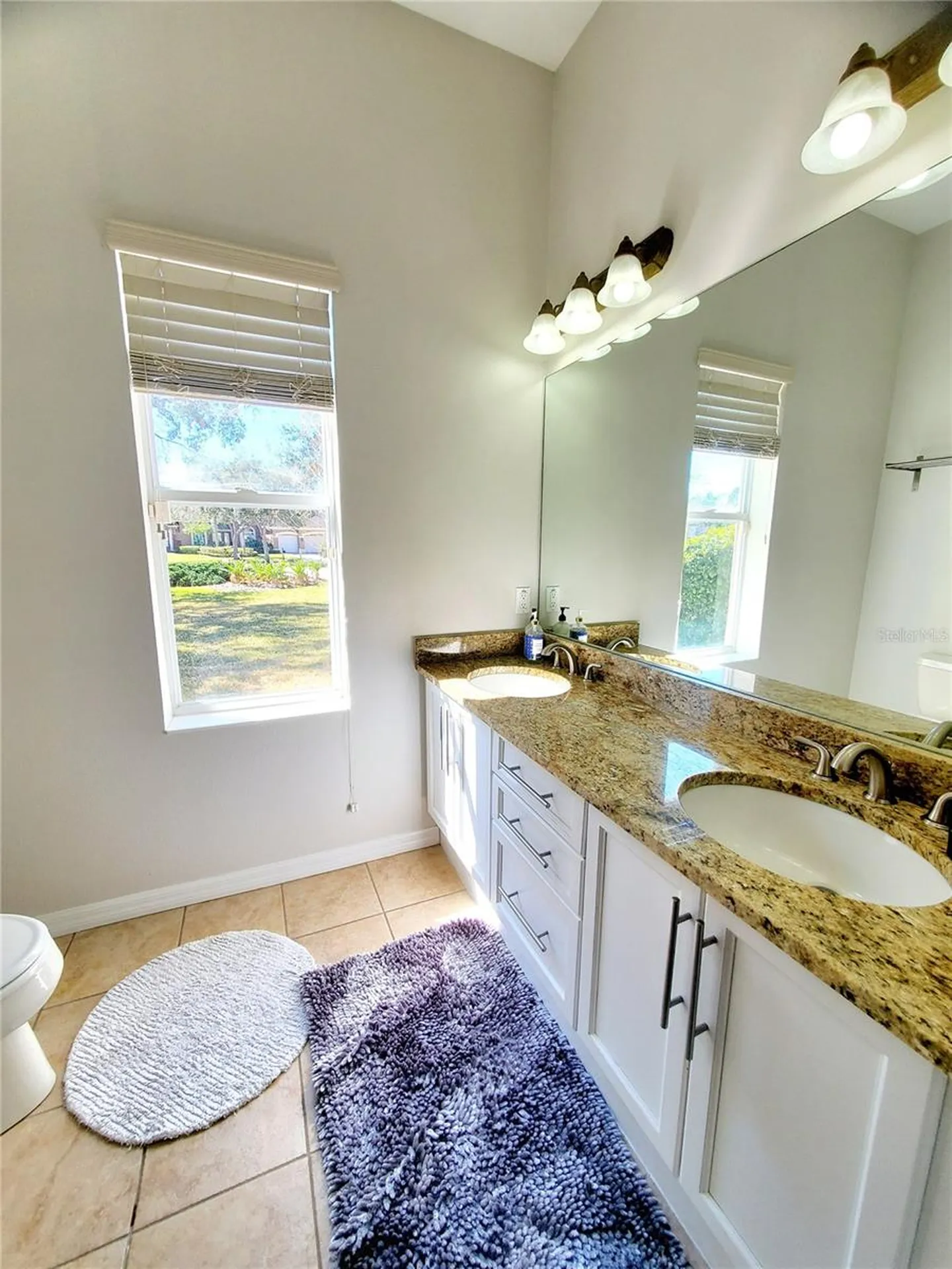 10004 Tree Tops Lake Road Tampa FL 33626