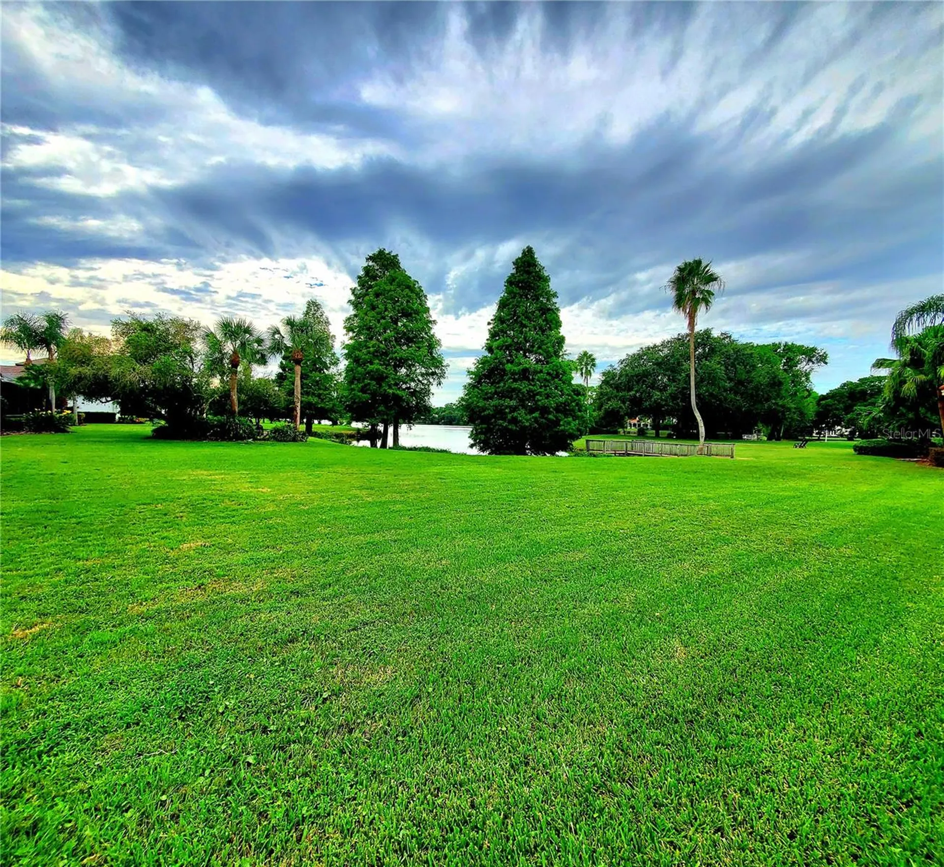 10004 Tree Tops Lake Road Tampa FL 33626