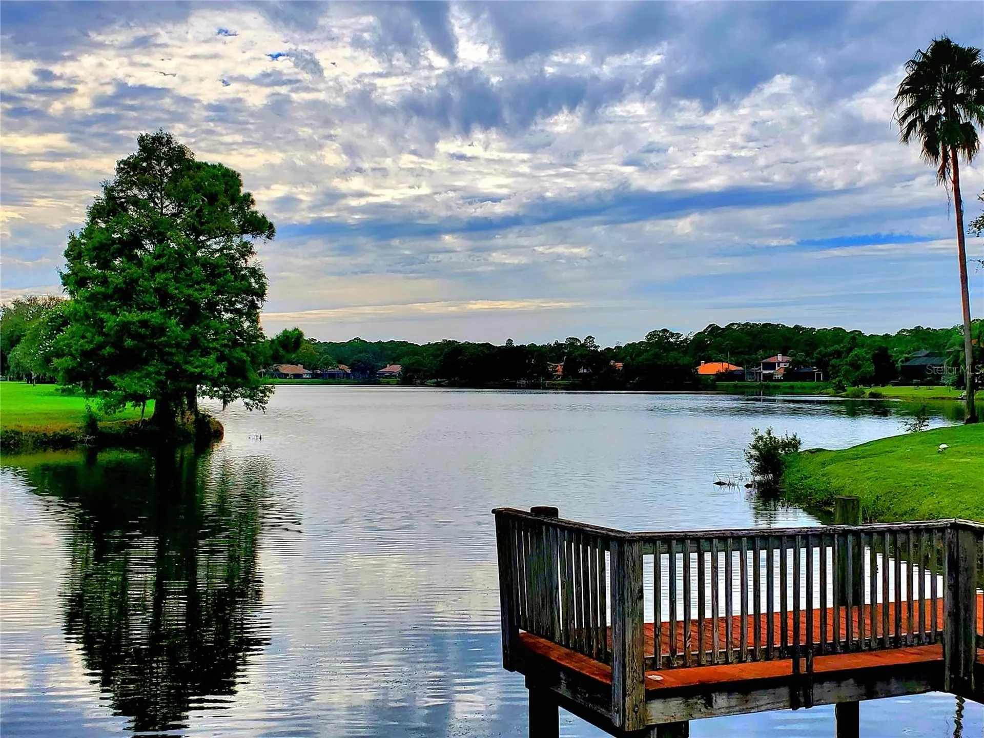 10004 Tree Tops Lake Road Tampa FL 33626
