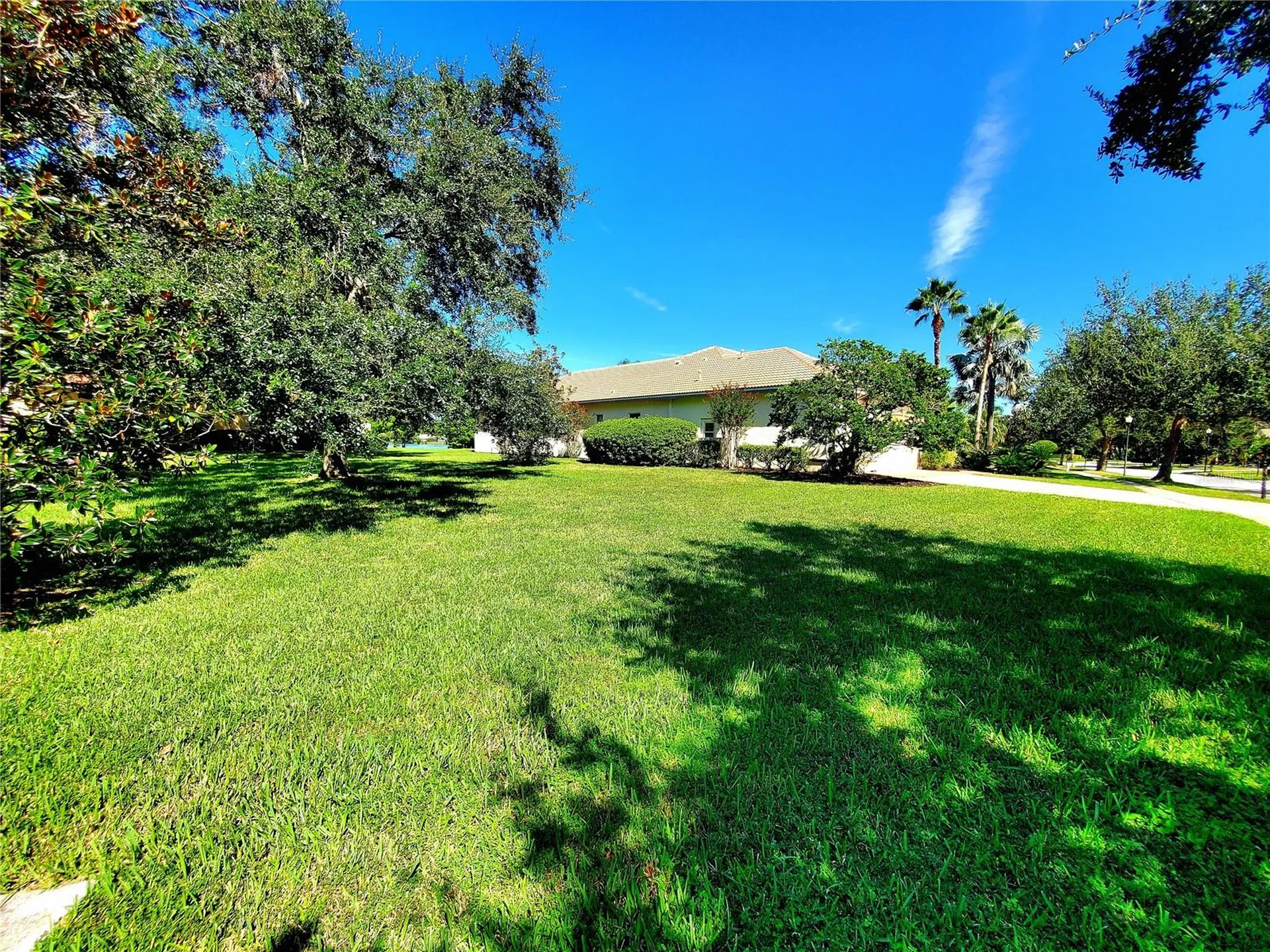 10004 Tree Tops Lake Road Tampa FL 33626
