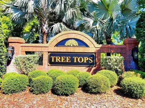 10004 Tree Tops Lake Road Tampa FL 33626