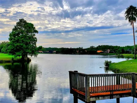 10004 Tree Tops Lake Road Tampa FL 33626