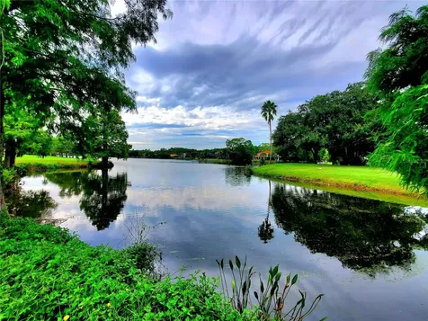 10004 Tree Tops Lake Road Tampa FL 33626
